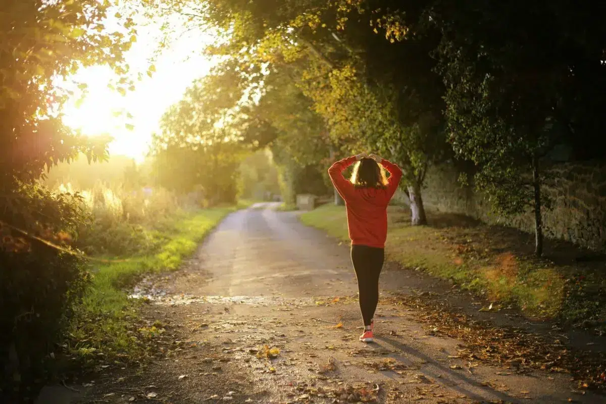 L-carnitine de ideale vetverbrander
